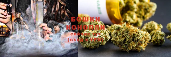 мдпв Волосово